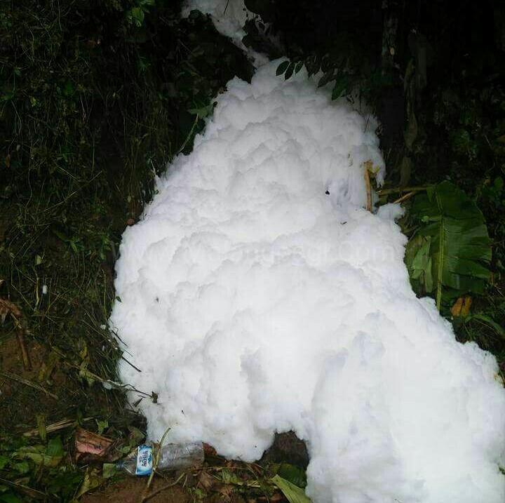 Salju Aneh…neh, Aliran Sungai Tengah Hutan di Desa Pujiharjo