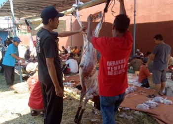 Pegang Amanah, Setiap Tahun Langgar Al-Mu’minun Berbagi Daging Kurban Sampai Luar Kota