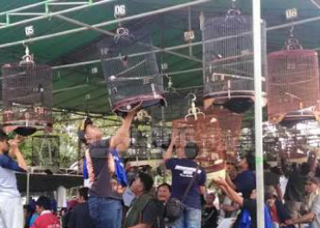 Permen 20 Tahun 2018, Penghobi Burung Minta Kementrian Mencermati