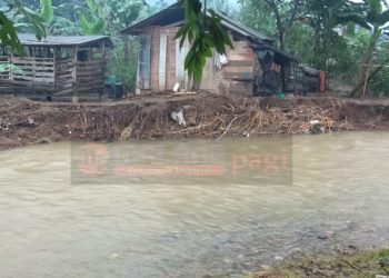 Pujiharjo Diterjang Luapan Sungai Purwo