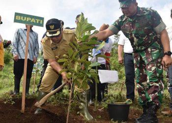 Peduli Lingkungan, 2.000 Bibit Pohon Ditanam di Sumbersekar