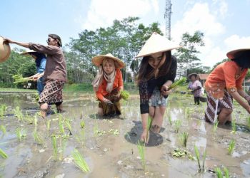 Tandhur Dan Kampanye LP2B Ala Kampung Budaya Polowijen