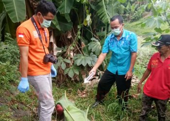 Seorang Kakek Tanpa Identitas Ditemukan Tewas Dibawah Jembatan