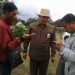 Wujudkan Swasembada Pangan, Pemkab Malang Siap Bantu Petani