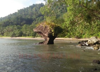 Jalan Masih Sulit, Potensi Live In Pujiharjo Luar Biasa