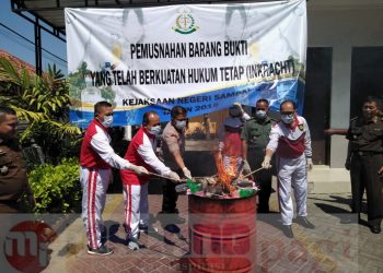 Giat Pemusnahan Barang Bukti Narkotika di Kantor Kejaksaan Sampang