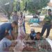 Denpom Divif 2 Kostrad Melaksanakan Penyembelihan Hewan Qurban