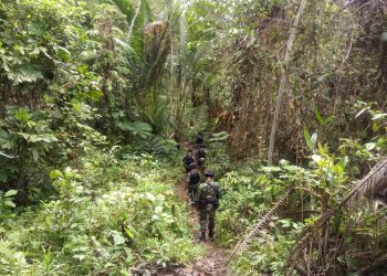 Satgas Pamtas Yonif Raider 509 Kostrad Laksanakan Patroli Keamanan