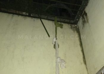 Empat Tahanan Narkoba Polresta Malang Kota Kabur dengan Menjebol Teralis Besi