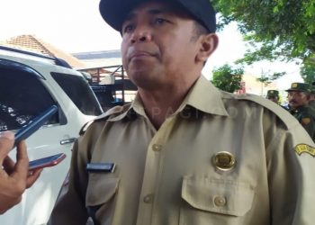 Kades Pujiharjo Berharap, Pemerintah Memperhatikan Kesejahteraan Satlinmas