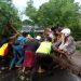 Hujan Disertai Angin Kencang, Akibatkan Pohon Tumbang