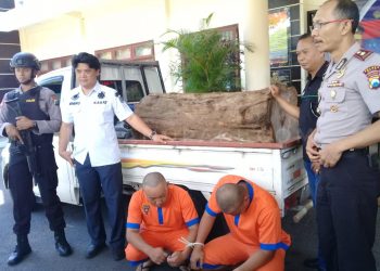 Polisi Amankan Kayu Hasil Curian, Dua Pelaku Diringkus