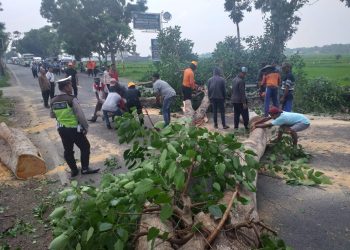 Antisipasi Cuaca Ekstrem, Polres Sampang Pangkas Ranting Pohon