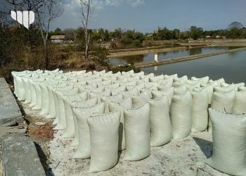 Produksi Garam di Sampang Tak Penuhi Target. Ini Penyebabnya