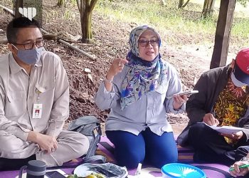 Perkuat Ketahanan Pangan Nasional, Penyuluh dan Petani Kolaborasi dari On-Farm hingga Off-Fram