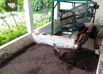 Oknum Wartawan Tolol dan Menyedihkan
