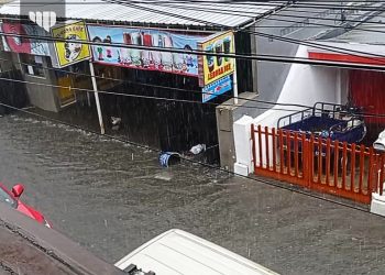 15 Menit Hujan Angin, Puluhan Wilayah Banjir dan Belasan Pohon Tumbang di Kota Malang