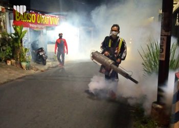 Cegah DBD, Warga Kelurahan Jatimulyo Lakukan Fogging Mandiri