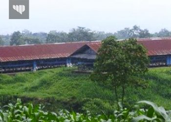 Bapenda Kota Malang Gelar Gebyar Sadar Pajak Virtual