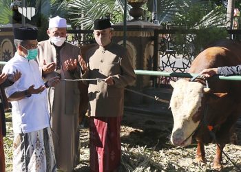 Idul Adha 2021, Wawali Kota Batu Serahkan Sapi Limousin ke Masjid Agung An-Nuur