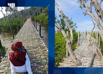 Wisata Bakau Labuhan Manis Sampang Usung Konsep Local Living Tourism