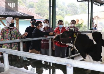 SMA Dempo Gelar Diseminasi Film Dokumenter Silvia Saartje