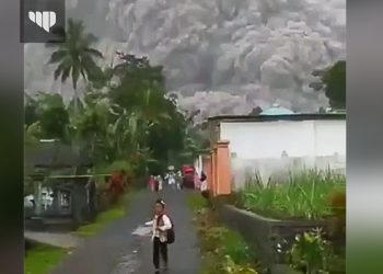 BREAKING NEWS! Gunung Semeru Erupsi. Warga Sekitar Panik Selamatkan Diri