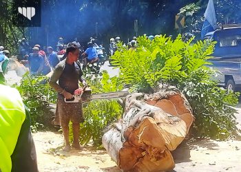Resepsi Puncak Peringatan Hari Jadi ke-398 Kabupaten Sampang