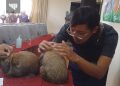 Malang Rabbit Show 2022, Angkat Perekonomian Kota Batu