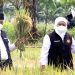 Khofifah Panen Raya Dua Padi Varietas Unggul di Singosari