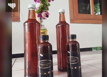 Menilik Budidaya Madu Klanceng dan Ternak Lebah Trigona Sp Warga Desa Sumberejo Gedangan