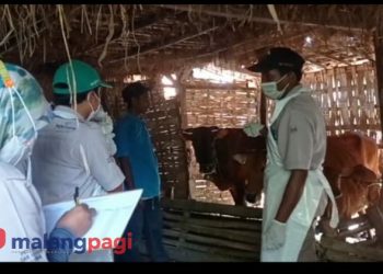 100 Dosis Vaksin Perdana di Pangarengan Antisipasi Penyebaran Virus PMK