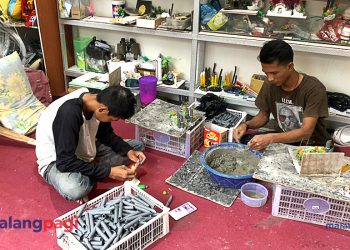 H-Fizh Accessories Aquarium, Usaha Keluarga yang Bantu Perekonomian Warga