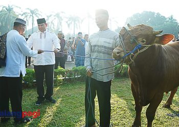 Divif 2 Kostrad Peringati Iduladha 1443 H