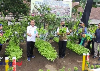 Sinergi Menarmed 2 Kostrad Bersama Warga Ciptakan Urban Farming Terbaik