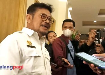 Menteri Pertanian Pastikan Stok Beras Aman