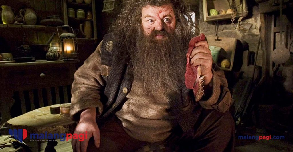 Robbie Coltrane, Aktor Pemeran Hagrid Di Film Harry Potter Meninggal ...