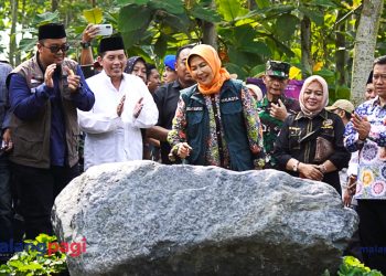 Walikota Batu Panen Hasil Pertanian dan Serahkan Bantuan pada Gapoktan