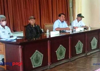 Sambut Hari Jadi, Kader Lingkungan Kota Malang Bakal Tanam Seribu Pohon