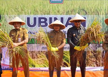 Dispangtan Kota Malang Serahkan Bantuan untuk Tanggulangi Inflasi dan Berdayakan Petani