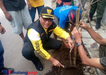Wakil Wali Kota Malang Gencarkan Sedekah Oksigen dengan Menanam Pule