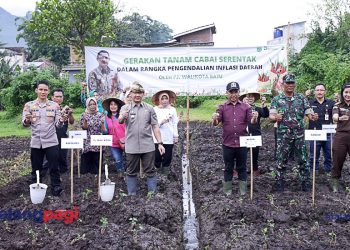 Kendalikan Inflasi, Pemkot Batu Tanam 5.000 Bibit Cabai