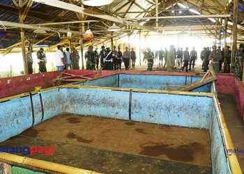 Divif 2 Kostrad dan Tim Gabungan Berantas Judi Sabung Ayam di Singosari