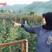 Neni Perempuan Asal Kota Batu Berdayakan Masyarakat Lewat Bisnis Bunga Potong
