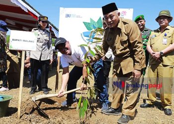 Telkom Tanam 10.000 Bibit Pohon Penghasil untuk Tiga Kecamatan di Kabupaten Malang