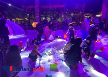 Hadirkan Wahana Frozen Night, Hawai Group Manjakan Pengunjung dengan Salju Pink