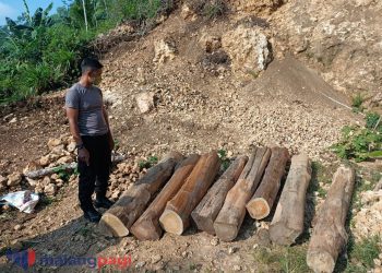 Polres Malang Berhasil Amankan 2 DPO Pembalakan Hutan Ilegal di Malang