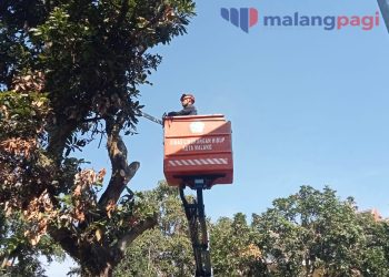DLH Kota Malang Dukung MPD dalam Program Bersih Kotaku