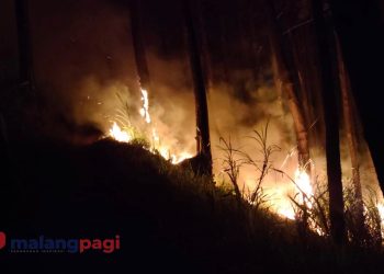 Polisi dan Tim Satgas Karhutla Berhasil Padamkan Kebakaran Kawasan Hutan di Jabung