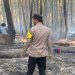 Kebakaran Lahan di Desa Petungsewu Dau Berhasil Dipadamkan